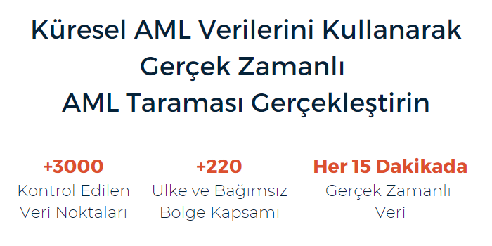 Küresel AML Verilerini Kullanarak Gerçek Zamanlı AML Taraması Gerçekleştirin